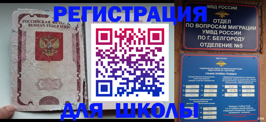прописка штамп в Пионерском